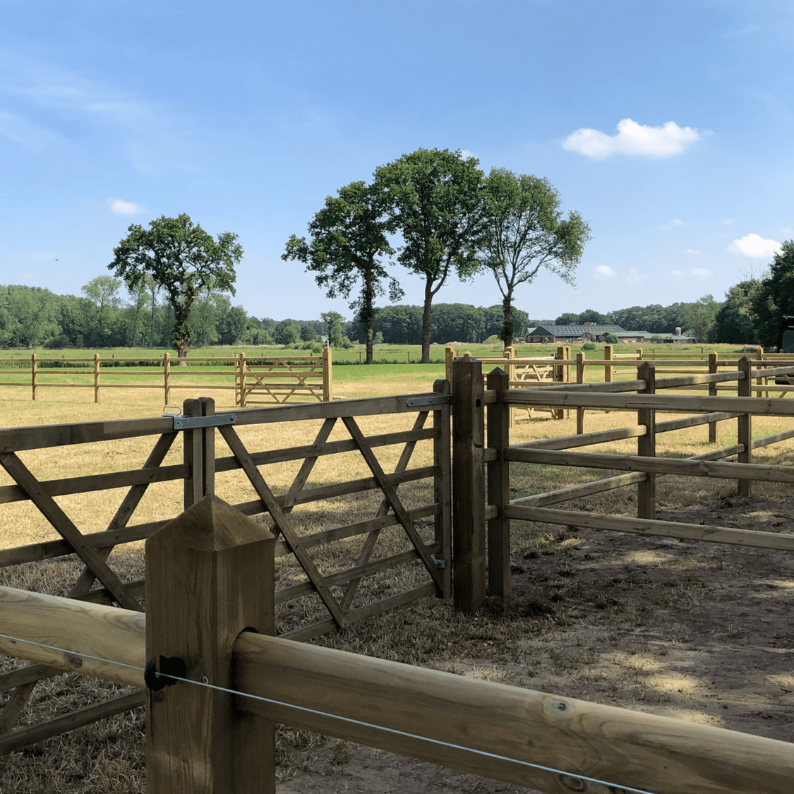 Dublin weidepoort, vurenhout ge&iuml;mpregneerd met groene Densiforce