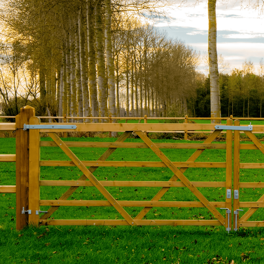 Dublin weidepoort, vurenhout ge&iuml;mpregneerd met groene Densiforce