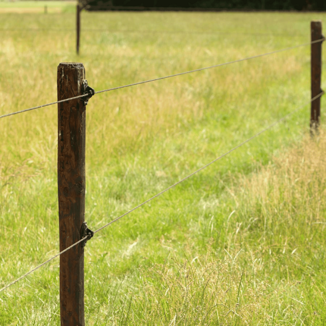 Gallagher Turboline cord, 500m lengte, ideaal voor paardenomheiningen