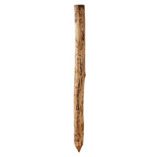 Robinia paal, geschild, D 10-12cm,1m60